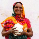 CottonConnect Signs MoU with ICAC to address industry challenges CottonConnect