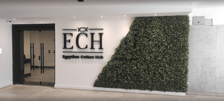 Egyptian Cotton Hub joins ITMF as corporate member