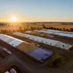 Louis Dreyfus Company Asia to acquire Emerald Grain Louis Dreyfus