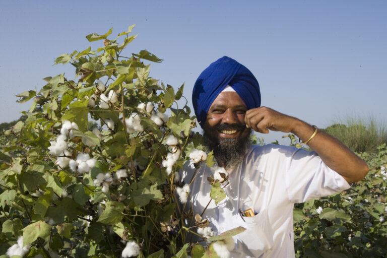 Estimated cotton production in India is 341.91 lakh bales and estimated consumption is 311 lakh bales