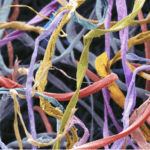 New study to explore upcycling the microfibres released from laundering clothes microfibres