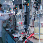 Tory Burch turns to Modern Meadow Bio-Alloy for ella bio tote Modern Meadow