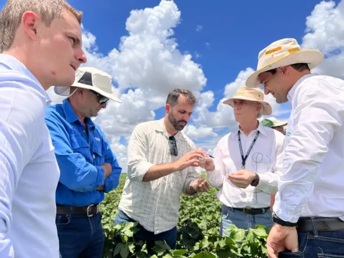 Dr Peter Ellsworth demonstrates how to sample and monitor leaves for pests, with Dr Paul Grundy (second from left) and Better Cotton employees João Rocha (centre) and Fábio Antônio Carneiro (far left).