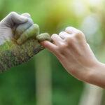 KARL MAYER — Sustainability gallery shows new ways KARL MAYER