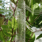 Karl Mayer — Flexible warp knitting machine with weft insertion and sustainable technical textiles Vertical urban greening with nets from weft knitting machines. Photo - Karl Mayer