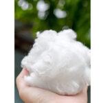 Kelheim presents sustainable European innovations at the Global Fiber Congress Kelheim Fibres