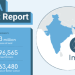 Better Cotton India impact report indicates clear positive trends – pesticide and water use down significantly Photo - Better Cotton