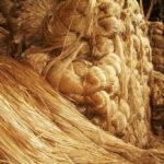 Domestic oversupply led to asking mills to stop raw jute imports Indian Jute Mills Association
