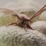 Kraig Biocraft Laboratories Reports Signing Landmark Agreements in South East Asia Kraig Biocraft