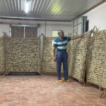 Kraig Biocraft Laboratories successfully completes recombinant cocoon production from spring trials Kraig Biocraft