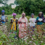 Better Cotton to advance gender equality and climate resilience in India with new impact fund Better Cotton