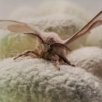 Kraig Biocraft Laboratories announces investor web conference highlighting commercialization progress of spider silk technologies Kraig Biocraft Laboratories