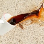 New non-fluorine stain-resistant concentrates for polyester textiles from Avient Avient Launches Non-Fluorine Anti-Stain Concentrates for Polyester Textiles Avient