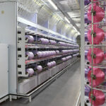 Barmag at the Domotex Middle Oerlikon Barmag