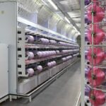 Barmag at the Morocco Stitch & Tex Expo 2025 Oerlikon Barmag