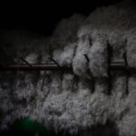 ALLIED Feather + Down expands supply chain transparency, shares insights at Première Vision Paris ALLIED Feather