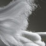 Lenzing AG strengthens leadership team with Milena Ioveva Lenzing AG