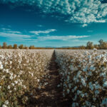 CITI delegation appeals to Union Agriculture Minister for duty-free cotton imports, flags competitiveness challenge, notes MSP protects farmers’ interests CITI