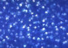 Barmag and Object Carpet validate BICO BCF technology for the next generation of carpet yarns. Barmag