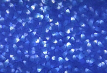 Barmag and Object Carpet validate BICO BCF technology for the next generation of carpet yarns. Barmag