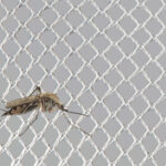KARL MAYER: Highly Efficient Production Of Mosquito Net Fabrics KARL MAYER