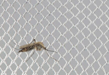 KARL MAYER: Highly Efficient Production Of Mosquito Net Fabrics KARL MAYER