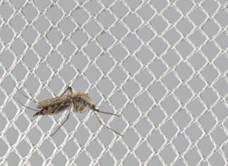 KARL MAYER: Highly Efficient Production Of Mosquito Net Fabrics KARL MAYER