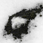 ALLIED Feather + Down finds 85% lower carbon emissions than estimated down industry average ALLIED Feather