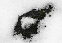 ALLIED Feather + Down finds 85% lower carbon emissions than estimated down industry average ALLIED Feather