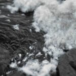 ALLIED Feather + Down expands TrackMyDown Platform with audited carbon footprint data ALLIED Feather + Down