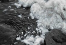ALLIED Feather + Down expands TrackMyDown Platform with audited carbon footprint data ALLIED Feather + Down