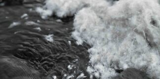 ALLIED Feather + Down expands TrackMyDown Platform with audited carbon footprint data ALLIED Feather + Down