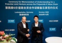 BASF and HSCC are pursuing a potential joint venture across the polyamide 6 value chain BASF